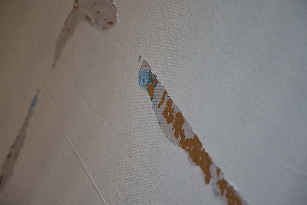 Basement Water Removal service in Harrisburg, PA